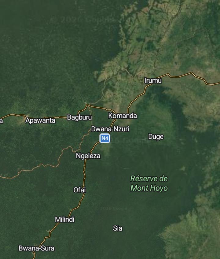 Irumu : Trois personnes tuées dans deux attaques attribuées aux ADF à Walese Vonkutu